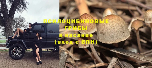 ECSTASY Алексин