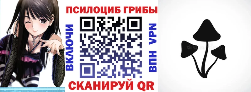 OMG   Гусиноозёрск  Галлюциногенные грибы GOLDEN TEACHER 